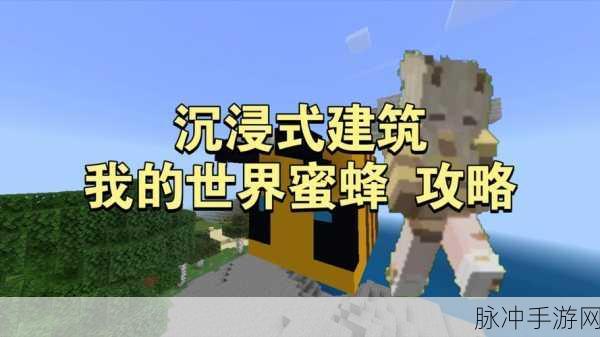 我的世界奇妙探索，深入揭秘蜂巢生成之谜