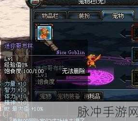 DNF宠物大全图鉴，解锁你的冒险新伙伴！