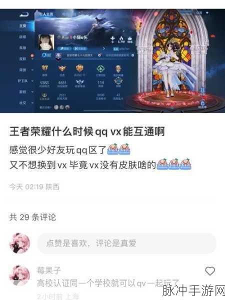 王者荣耀QQ区钻石能否媲美微信区王者？玩家热议