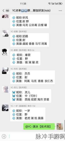王者荣耀陪玩话术大揭秘,技巧与实用套路助你上分