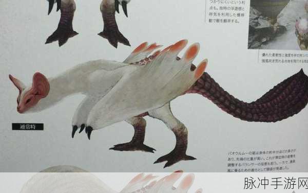 怪物猎人世界浮空龙α套深度解析