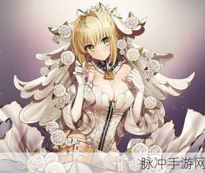 花嫁尼禄降临命运-冠位指定,她值得你抽卡吗?