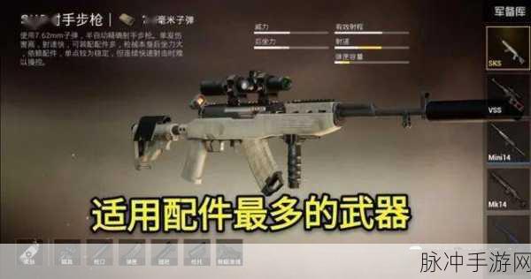 SLR与SKS终极较量,绝地求生刺激战场中的神器之选