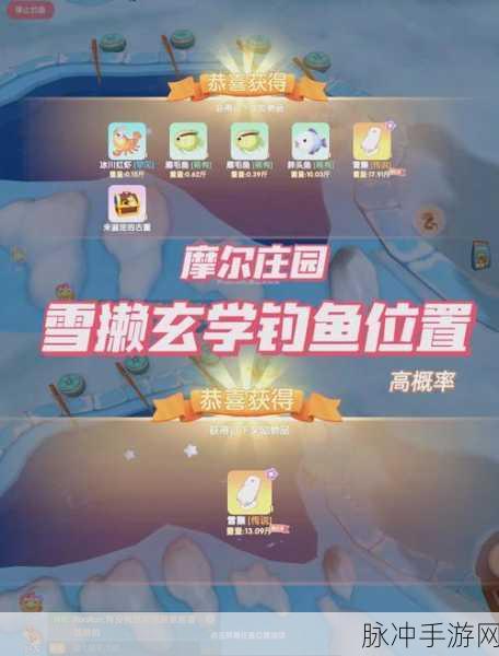 摩尔庄园钓鱼秘籍大公开，精准捕捉稀有雪獭全攻略