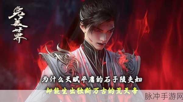 石破天惊，揭秘完美世界动漫中的石子陵角色深度