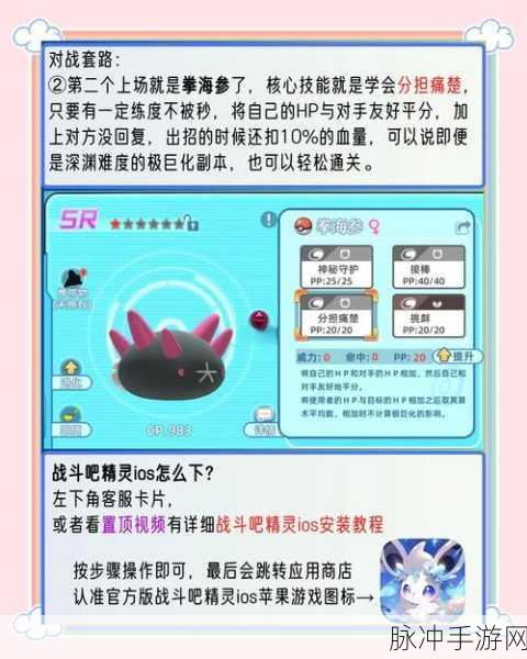 超级精灵球尼比市副本，全面通关技巧与攻略