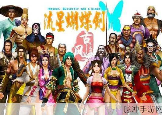 流星蝴蝶剑秘籍大揭秘,轻松解锁通关全攻略