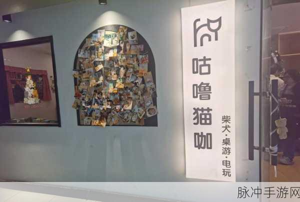 猫咪乐园新篇章,汤玛琅镇经营之旅等你开启