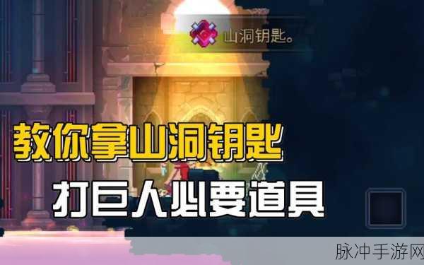 重生细胞巅峰钥匙获取全攻略,解锁隐藏区域的秘密