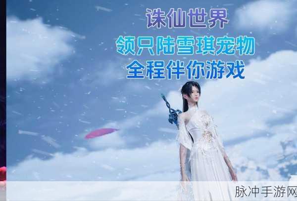 梦幻诛仙奇遇大揭秘,解锁不期而遇的冒险之旅
