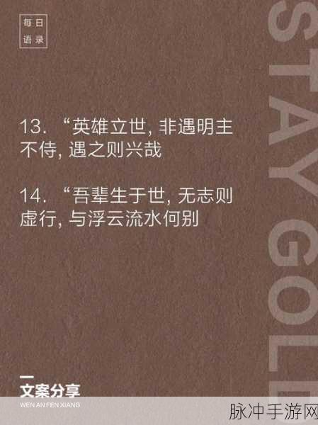 王者荣耀刘备台词深度解读,仁义之师的豪迈与智慧