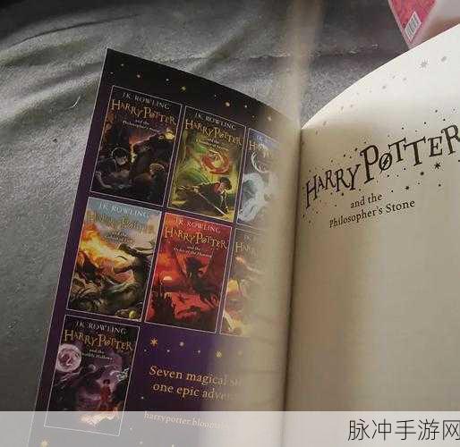 哈利波特,魔法世界的冒险之旅——深入探索2-6部主线剧情的奇幻之旅