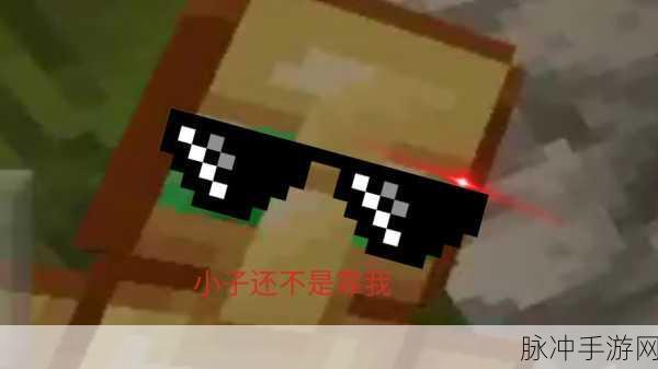 探秘我的世界,粘块——那些隐藏在日常中的奇妙宝藏!
