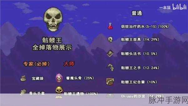 泰拉瑞亚骷髅,揭秘神秘世界的幽灵之王