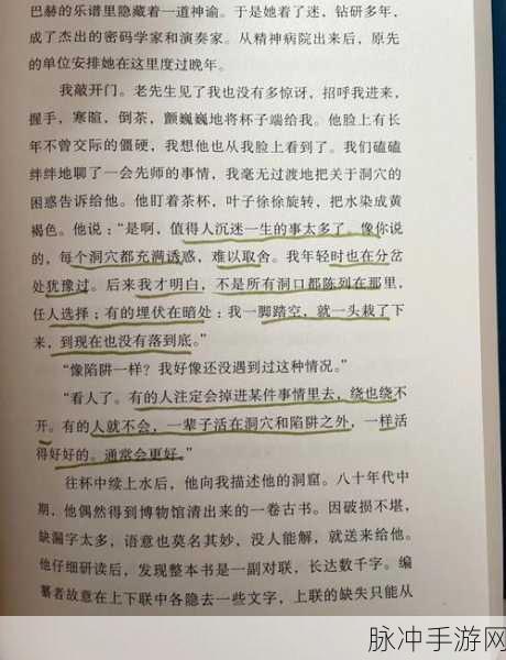 妄想山海试炼石,奇幻之旅的神秘钥匙