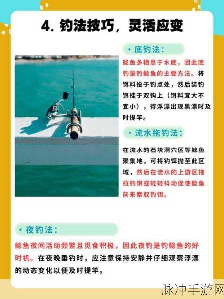星球重启钓鱼秘籍,胡子鲶获取与捕捉技巧深度剖析