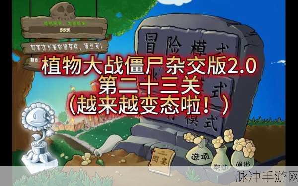 植物大战僵尸2功夫世界第23关三星通关秘籍