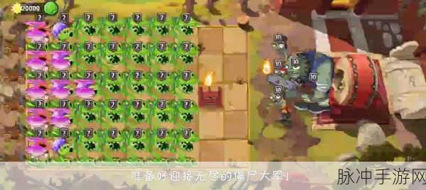 植物大战僵尸2功夫世界第23关三星通关秘籍