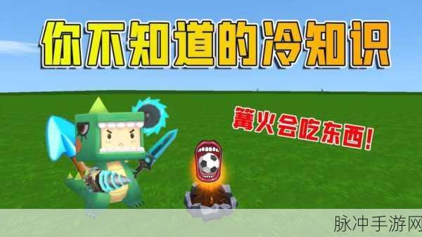 迷你世界,轻松掌握篝火燃料添加技巧