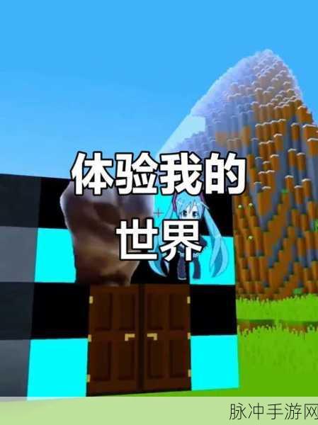 我的世界,揭秘突然捡到金甲的奇妙之旅