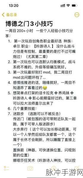 博德之门新手启航，全方位技巧与策略秘籍