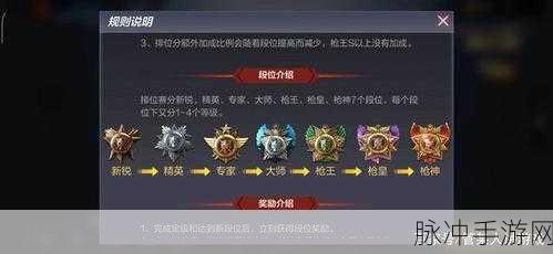 CF枪王排位赛,专家段位晋升之路与后续段位揭秘
