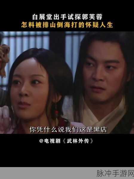 武林外传，揭秘不朽传奇的幕后风云，玩家视角深度探索