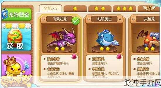 360弹弹堂账号装备宠物遭删，恢复攻略大揭秘