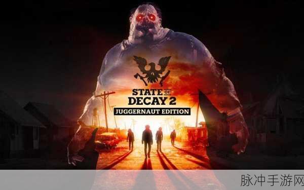 腐烂国度2PC版，Win10系统下的僵尸末日冒险