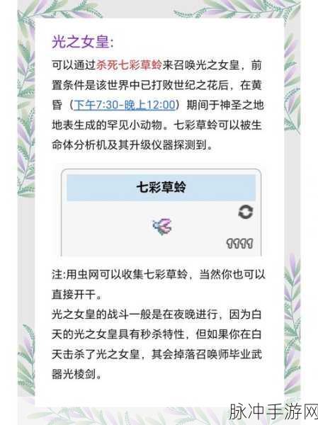 泰拉瑞亚,肉山后如何打造高效模仿者刷怪场