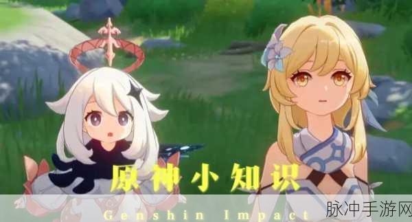 原神意外之客解锁全攻略,步骤详解与技巧揭秘
