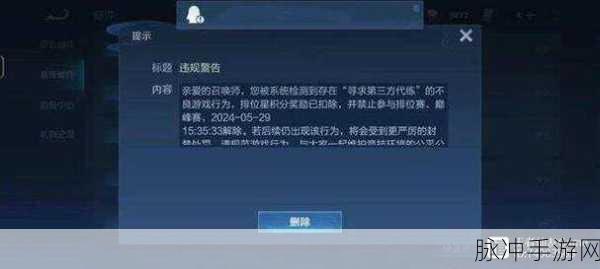 王者荣耀运营权归属天游,玩家疑虑与期待并存