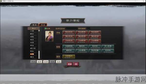 三国志12技法系统深度探索，技法搭配与应用策略全揭秘