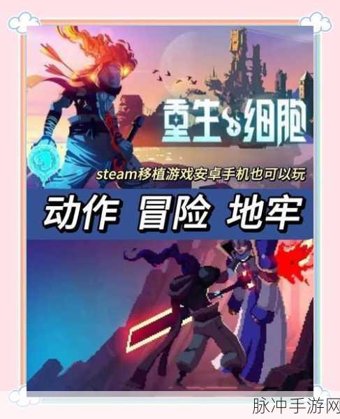重生细胞，揭秘挠挠与摩擦背后的深度玩法奥秘