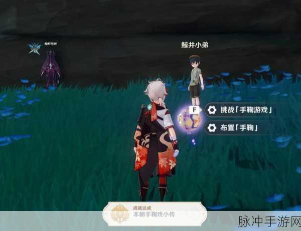 原神手鞠游戏,全位置探索与攻略详解