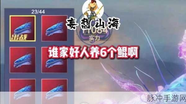妄想山海万年鲲，培养价值深度剖析