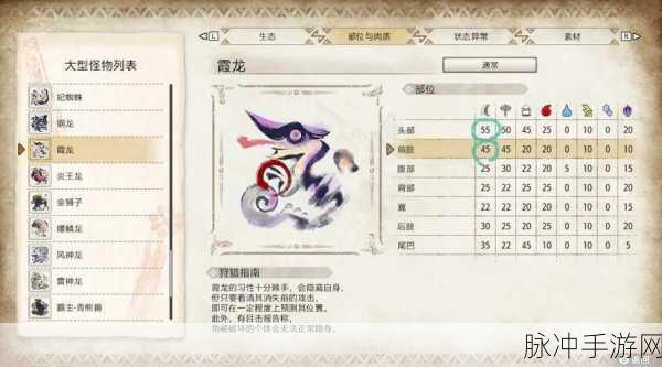 迅龙锤震撼登场！怪物猎人崛起全新配装策略实战揭秘