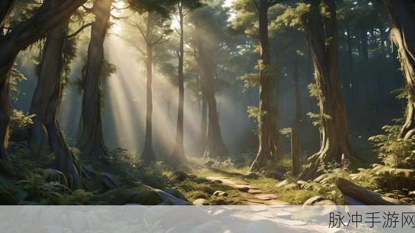 神秘森林之旅，深入创造与魔法，揭秘树人聚集地奥秘