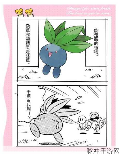 揭秘宝可梦大探险，走路草专属食谱与高效获取秘籍