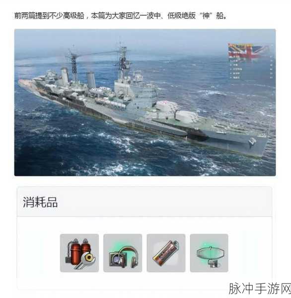 战舰世界,深度剖析各类船只作用与战略应用