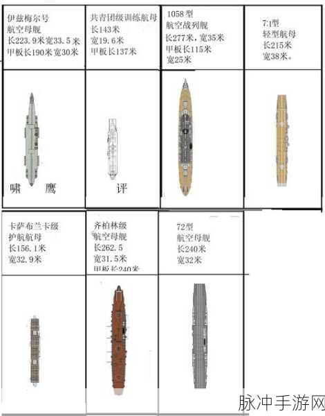 战舰世界,深度剖析各类船只作用与战略应用