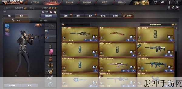 穿越火线深度解析，性价比之巅，枪械王者大揭秘