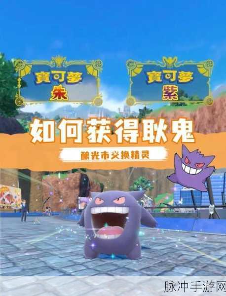 耿鬼在宝可梦大集结中的顶级持有物搭配秘籍,助你称霸战场
