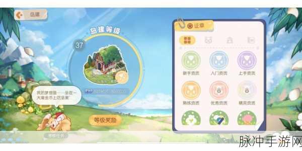 奥比岛岛建等级提升全攻略，助你打造梦幻岛屿