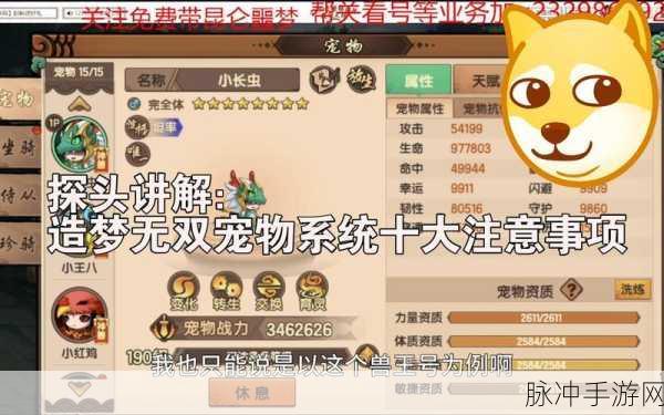 造梦无双宠物获取全攻略,解锁你的萌宠伙伴