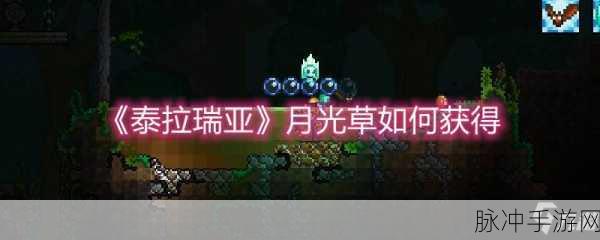 泰拉瑞亚龙蒿矿获取全攻略