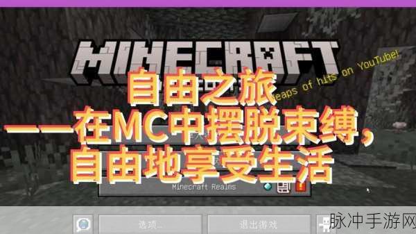 我的世界中文设置全攻略,解锁无限畅游之旅!