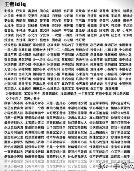 王者荣耀,解锁游戏名字代码的神秘魅力,打造个性昵称