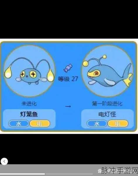 宝可梦大探险，腕力进化全攻略，打造你的格斗王者