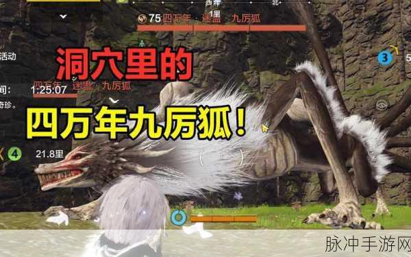妄想山海三阶狐狸全攻略，解锁高效战斗技巧与策略